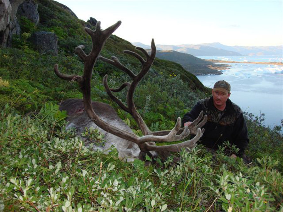 Reindeer hunting Hunting iceland