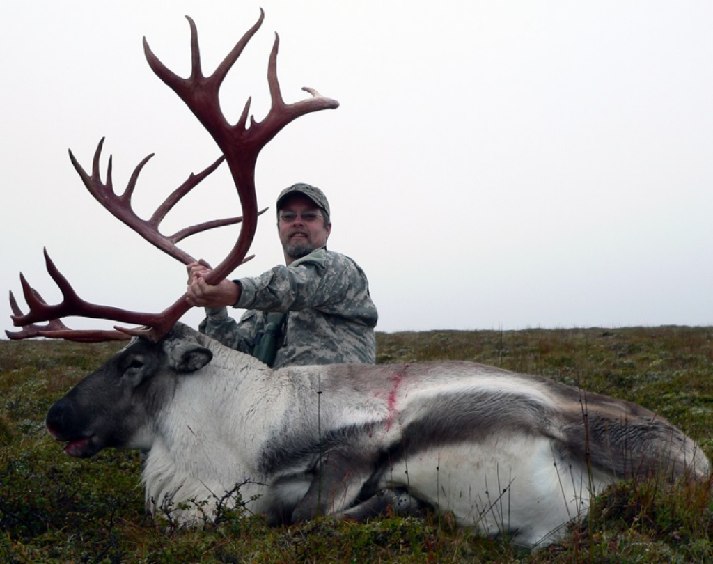 Reindeer-in-Iceland-150x150 - 