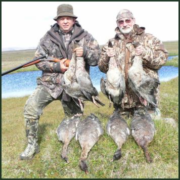 The Icelandic Hunting Club - The best hunting in Iceland and Greenland. 