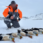 The Icelandic Hunting Club - The best hunting in Iceland and Greenland. 