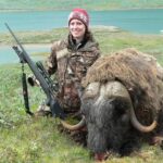 MUSKOX hunting in Greenland #icelandichuntingclub #huntingiceland.com #huntinggreenland.com #huntinginiceland #huntingingreenland #cbeo (1) - 