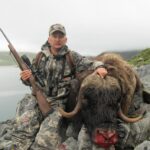 MUSKOX hunting in Greenland #icelandichuntingclub #huntingiceland.com #huntinggreenland.com #huntinginiceland #huntingingreenland #cbeo - 