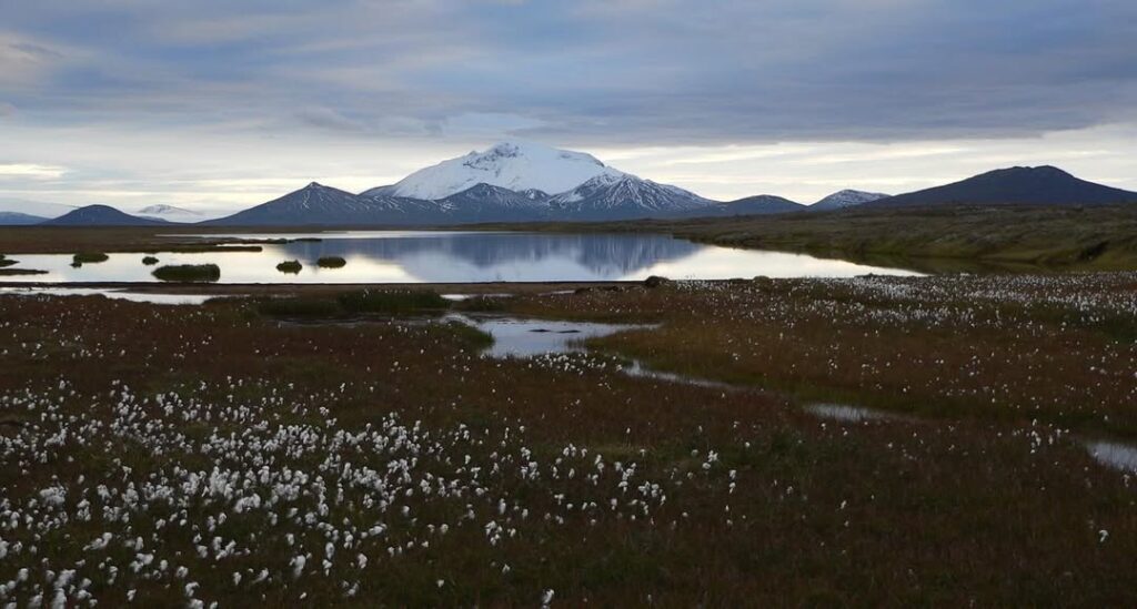 The Icelandic Hunting Club - The best hunting in Iceland and Greenland. 